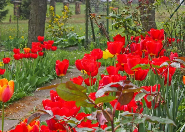 Zum Dorfschullehrer * Lübbenau